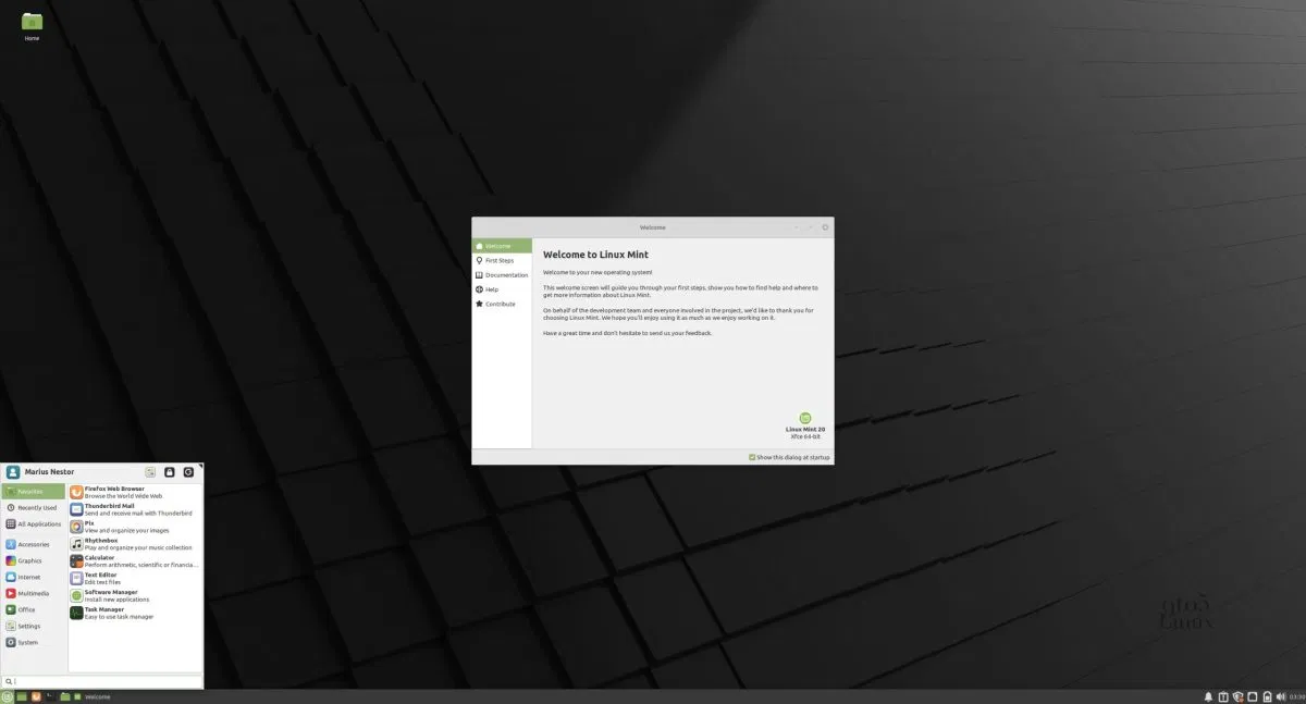 Linux Mint Desktop